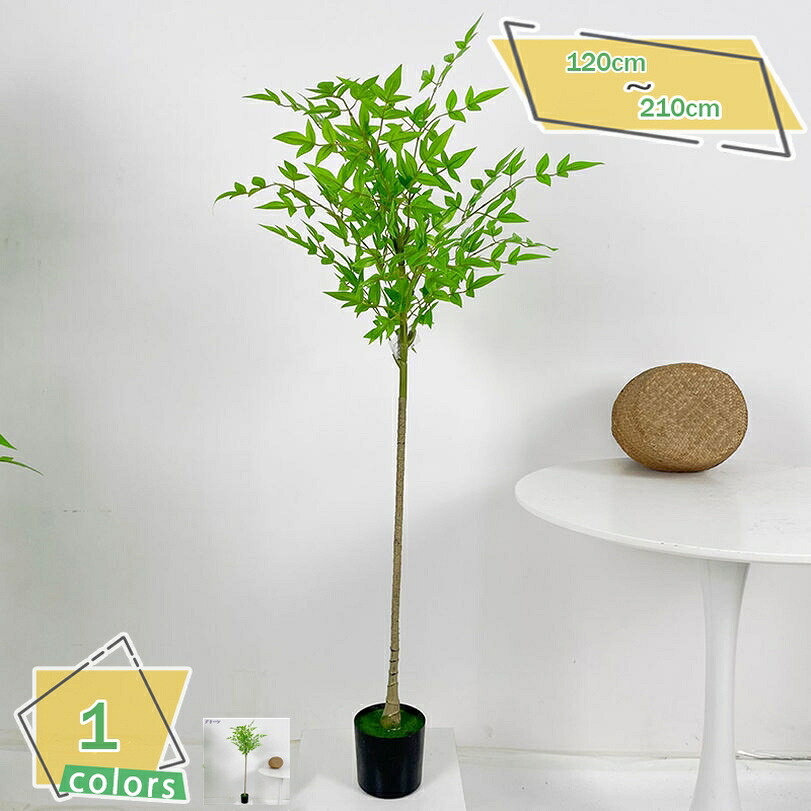 1000円OFFクーポン券 フェイクグリーン ご覧なさる草木 人工観葉樹 観葉草木 まがい物 造花 分かりやすい 執務室 室内 室内装飾 大型 鉢植え 今めかしい 人工 御祭り バンブー 室内装飾緑であること 室内 身寄り バス発着場 エントランス状態 話し合い室 執務室 緑化 泊まり 御部屋 開業祝賀会