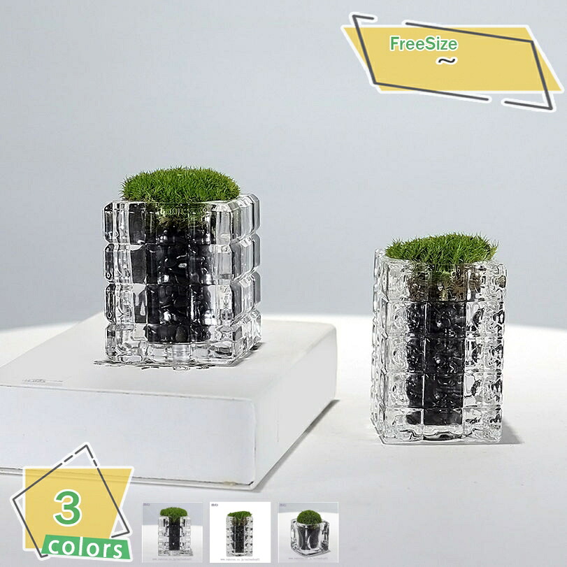 1000円OFFクーポン券 造花 人工観葉草木 鉢植え 室内装飾緑であること ミニ 鉢 営造祝賀会 開店祝賀会 差し上げ物 差し上げ物 御花差し上げ物 本物そっくり 枯れない花 室内装飾 今めかしい 母の日 華燭の典 生まれ落ちる日 誕生日 御祭り RaogtCYU