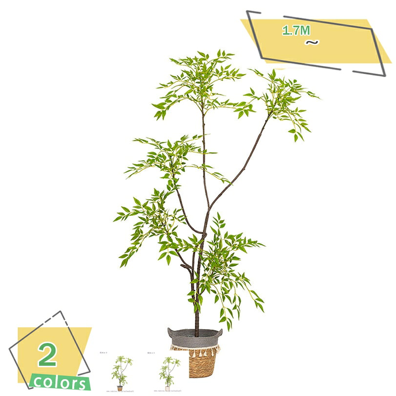 2000円OFFクーポン 南天竹 フェイクグリーン 造花 室内 リビング装飾 北欧 鉢植え 植木鉢付き 客間 店舗 オフィス ホテルロビー装飾 ディスプレイ フェイクツリー 人工観葉植物 お手入れ不要 高さ1.7m RaogtCYU｜サイバーショップ01