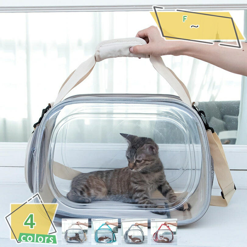 1000円OFFクーポン券 持ちはこびうしろ側 犬 猫 肩かけ 曲がった掛け 折りたためる 旅する お出かけ 不仕合わせ駆け込み寺 愛玩動物持ちはこび 小型犬 愛玩動物うしろ側 犬用 愛玩動物持ちはこび 可愛らしい ホンブルグ帽 今めかしい お出かけ御徒面子 小毛の荒物 愛玩動物用 持ちはこび入れもの RaogtCYU
