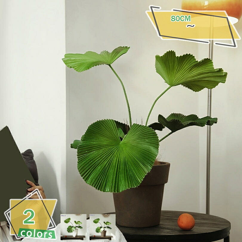 人工観葉植物 大型 トロピカル風 丸葉タイプ パームリーフ風 室内用 フェイクプラント インテリアグリーン 鉢付き おしゃれ リビング 玄関 オフィス装飾 北欧風 造花 観葉植物 ギフト対応 RaogtCYU