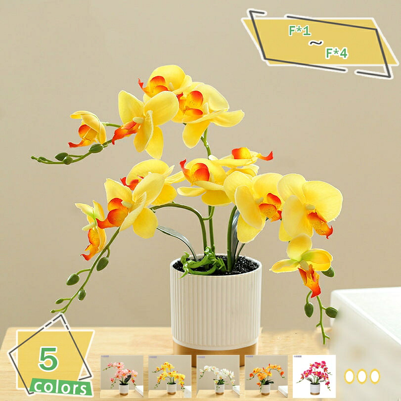 500円OFFクーポン フェイクグリーン 人工観葉植物 アーティフィシャルグリーン モンステラ ミニ 観葉植物 人工植物インテリア インテリア飾り インテリア 水やり不要 お世話不要 ミニ 観葉植物 フェイクグリーン インテリア 鉢植え RaogtCYU