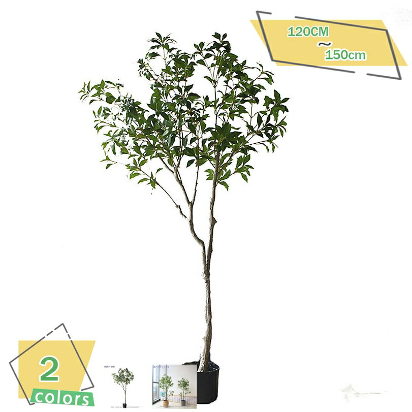 1000円OFFクーポン 人工観葉植物 鉢植え 人工植物 インテリア 観葉植物 鉢植えの植物 世話いらず 水やり不要 フェイクグリーン 鉢付き オフィス ホーム デコレーション 観覧植物 人工観葉樹 シンプル 室内 インテリア おしゃれ お祝い 父の日 RaogtCYU｜サイバーショップ01