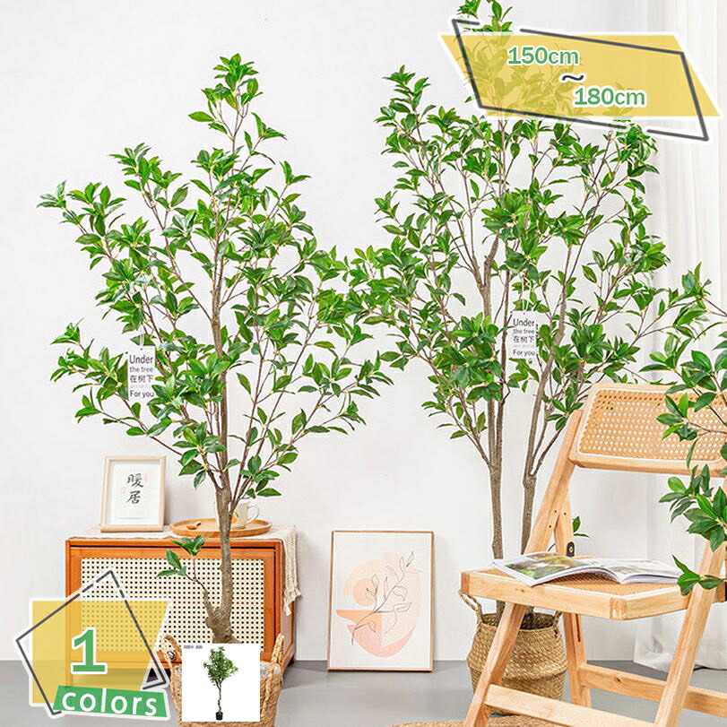 1000円OFFクーポン フェイクグリーン 人工観葉植物 インテリア 盆栽 ユッカ 人工観葉 人工観葉植物 フェイクグリーン 観葉植物 大型 インテリア おしゃれ オフィス 屋内 空間 自宅 室内用 リビング フェイクグリーン お祝い 大型 人工観葉植物 RaogtCYU｜サイバーショップ01