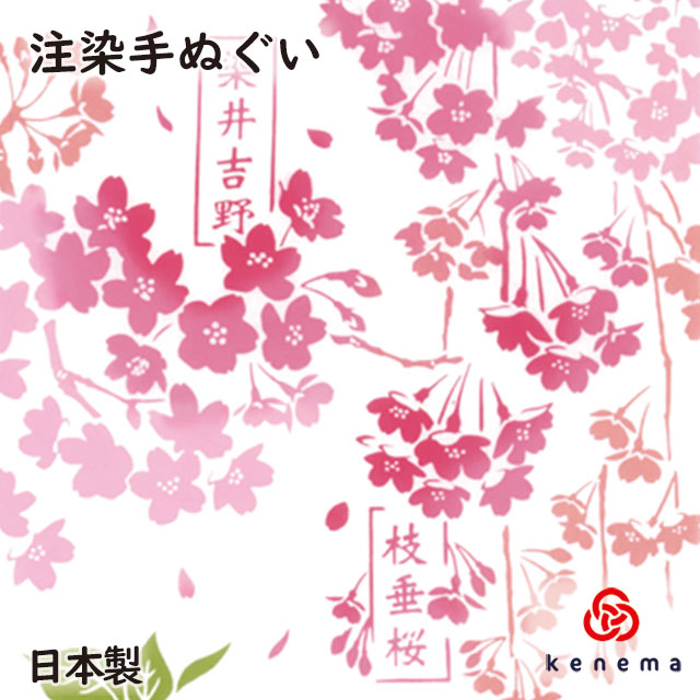 お手軽価格で贈りやすい ミニオン注染手ぬぐい 花より団子 日本製 手拭い てぬぐい タペストリー さくら 桜 お花見 春 minions  ミニオンズボブ 怪盗グルー ミニオングッズ ピンク 宮本 sps qdtek.vn