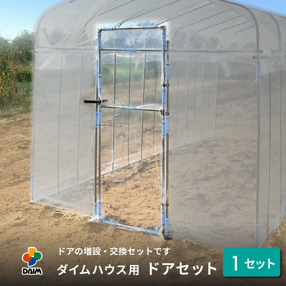 2025年DAIM新商いもの特集！