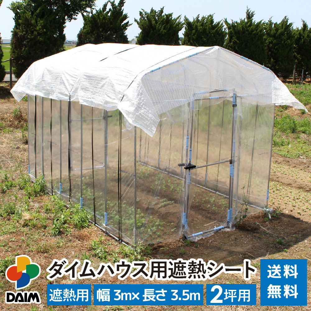 2025年DAIM新商いもの特集！