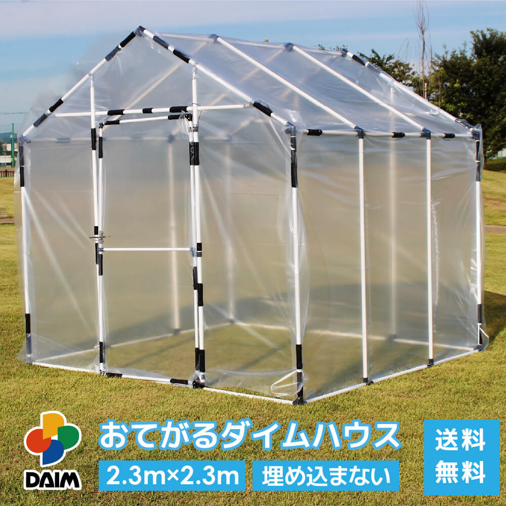 2025年DAIM新商いもの特集！