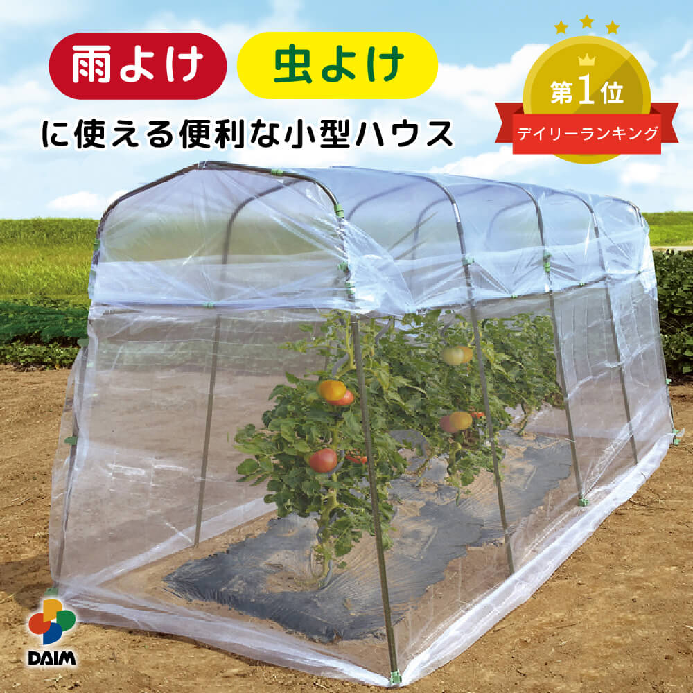 2025年DAIM新商いもの特集！