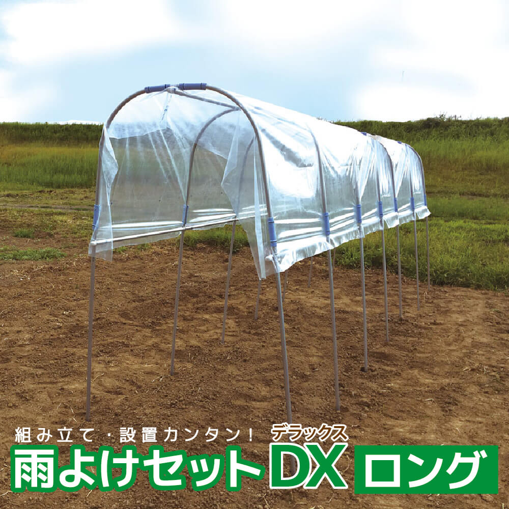 daim 雨よけセットDXロング 雨よけ 透明シート 雨除けシート トマト ぶどう 棚 雨除け 第一ビニール トンネル 野菜 家庭菜園用 ビニールハウス 家庭用 小型 ビニール シート ハウス 園芸 雨よけシート 野菜栽培
