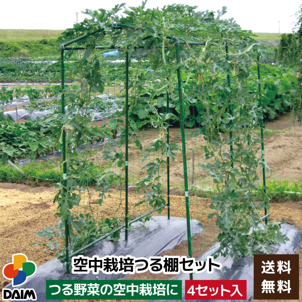 Daim 空中栽培 つる棚セット 4セット入 つる野菜 家庭菜園 支柱 キュウリ 園芸 用品 地這い栽培 省スペース キット 野菜作り アーチ支柱 ネット付 アーチ 送料無料 最新入荷