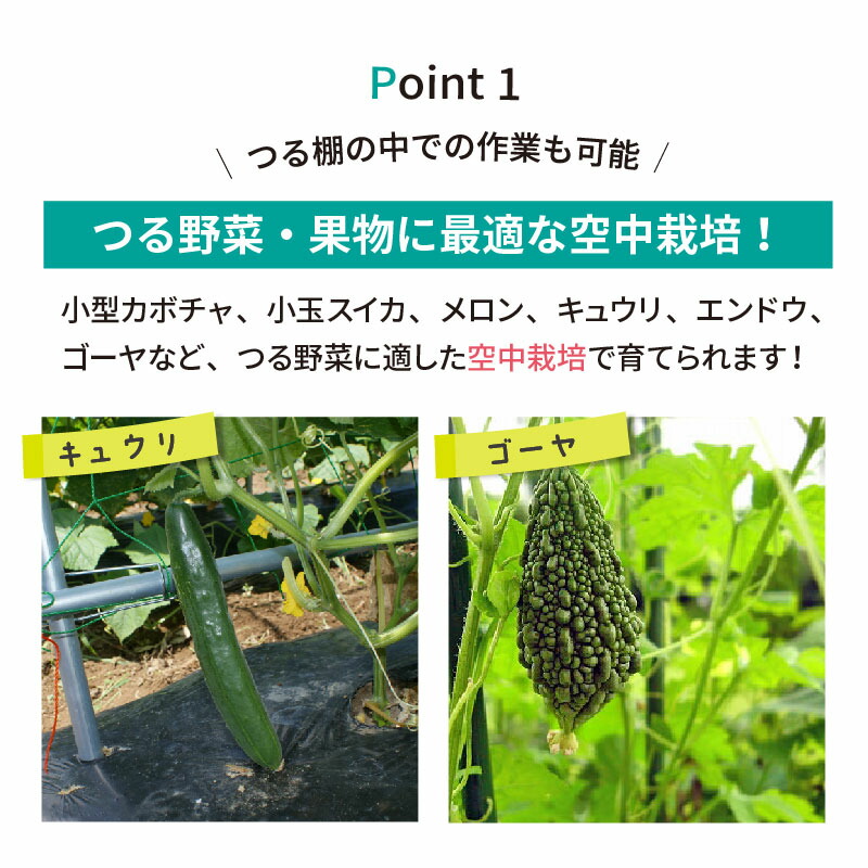 クーポンで最大3,000円OFF】【エントリーで全商品P5倍！】daim 空中
