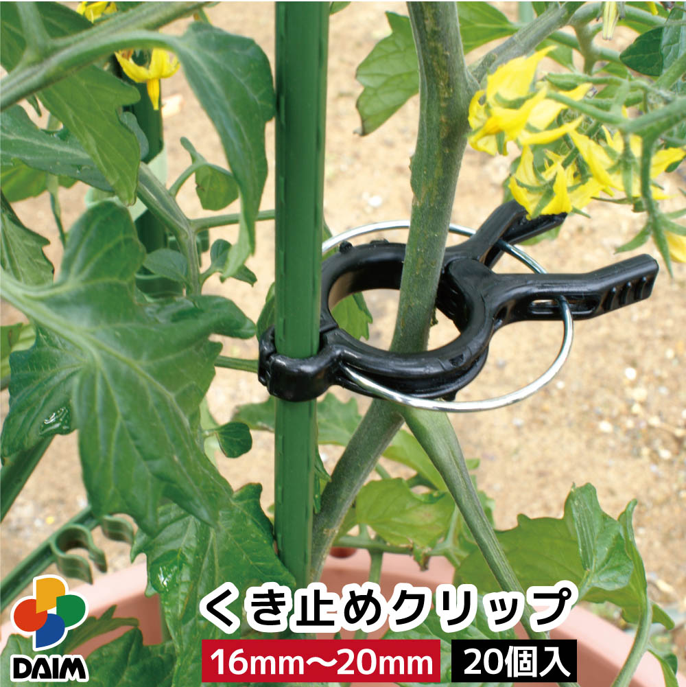 楽天市場】daim くき止めクリップ 16mm〜20mm支柱用 10個入 誘引 茎
