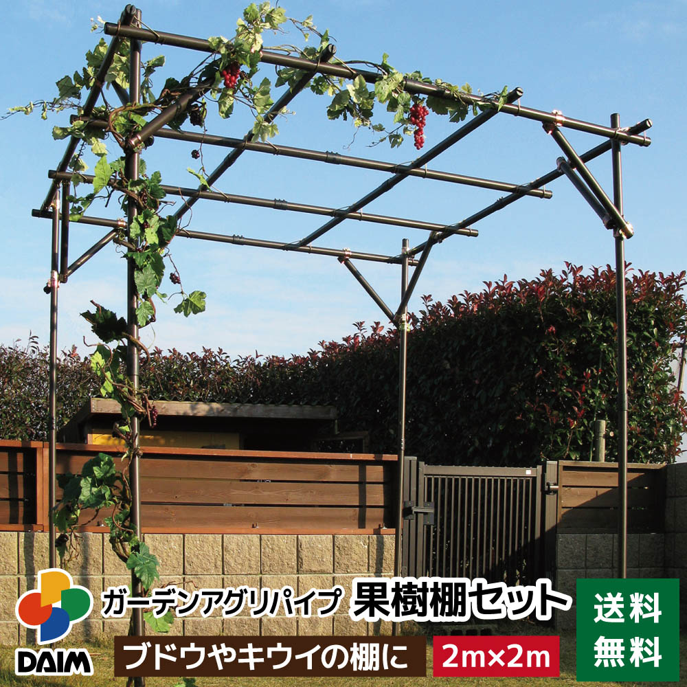 2025年DAIM新商いもの特集！