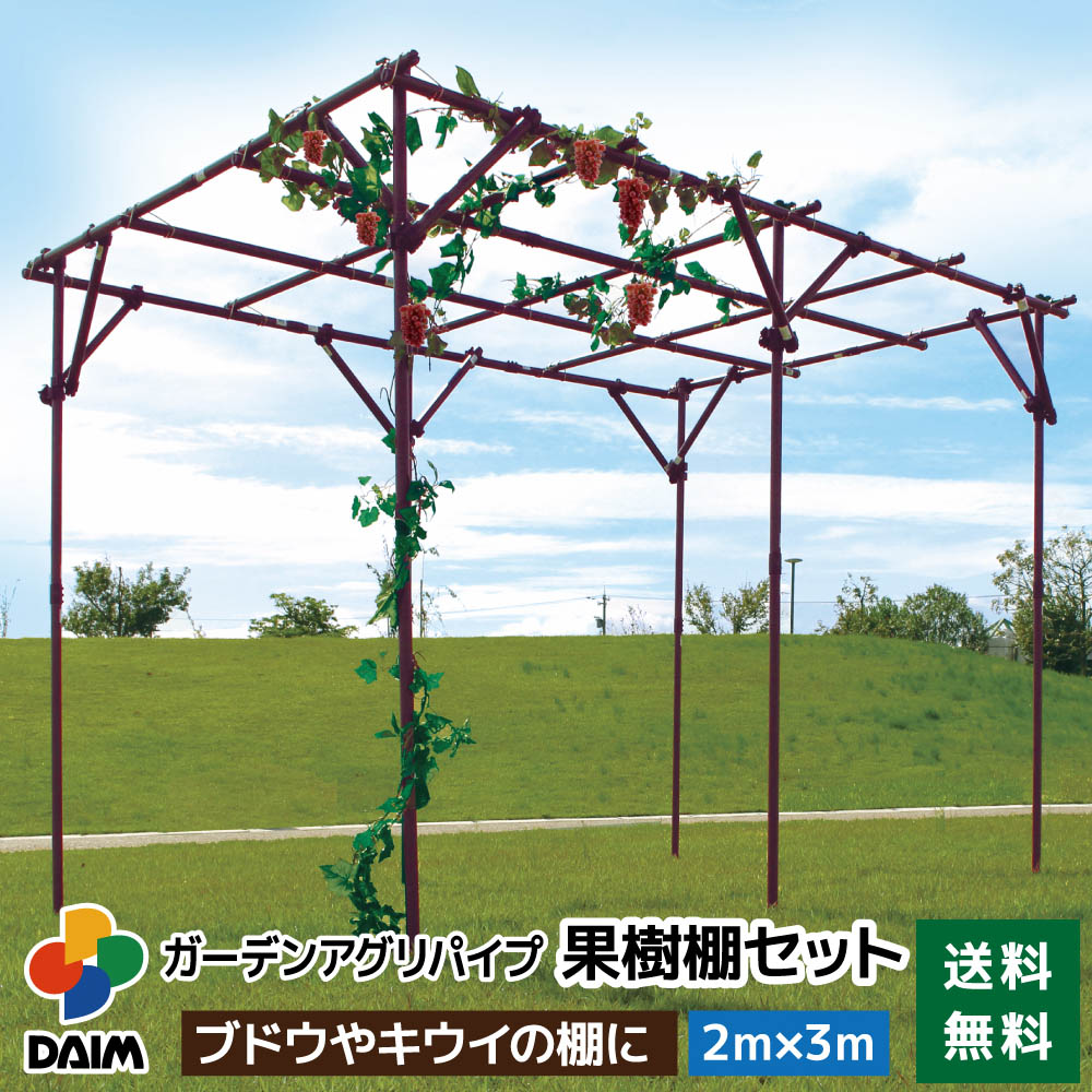 2025年DAIM新商いもの特集！