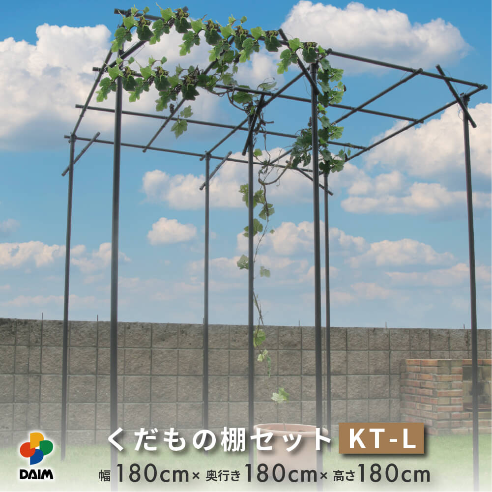 2025年DAIM新商いもの特集！