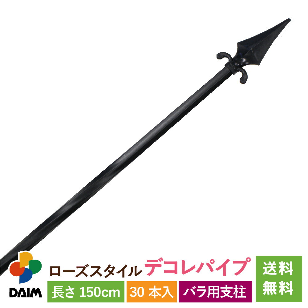 2025年DAIM新商いもの特集！