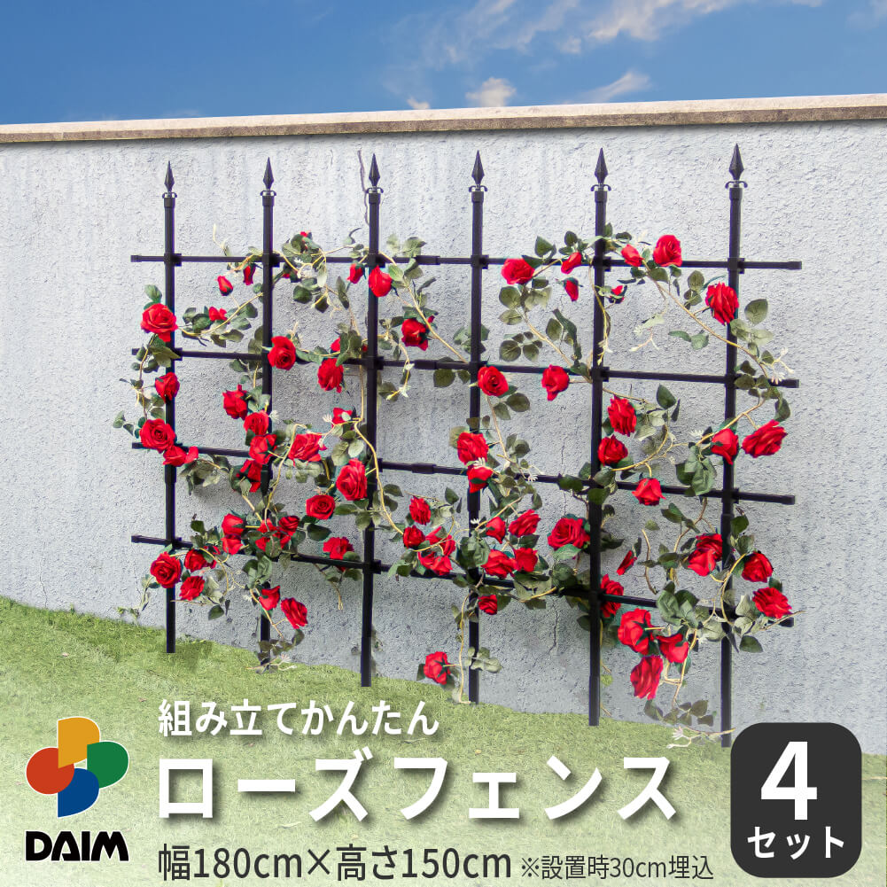 2025年DAIM新商いもの特集！