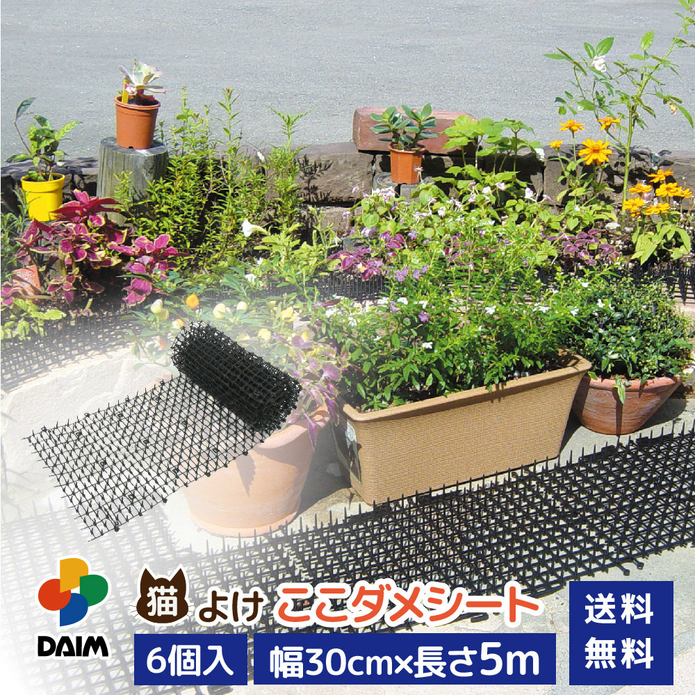 2025年DAIM新商いもの特集！