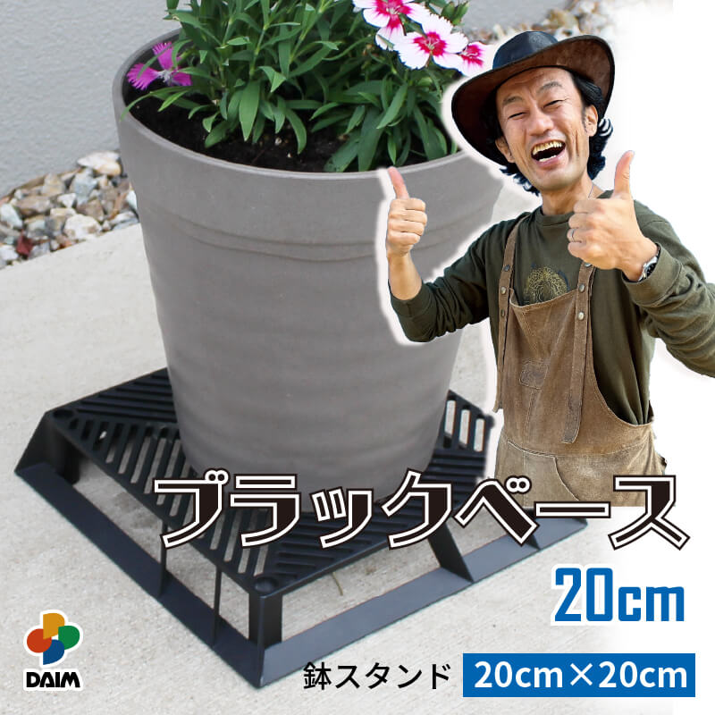 楽天市場】【カーメン君×daim コラボ】daim ブラックベース 20cm