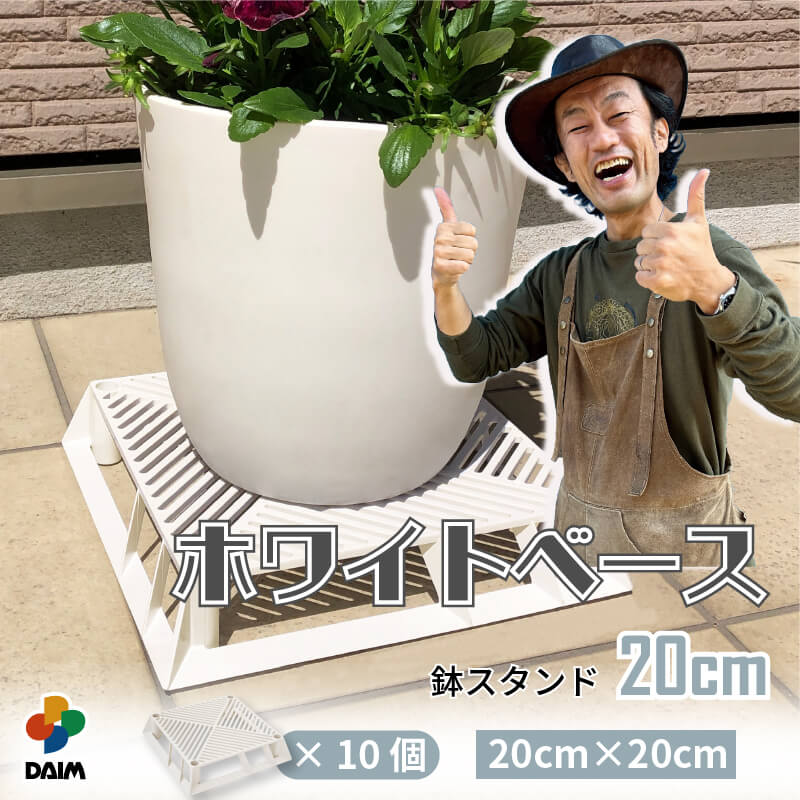 楽天市場】【クーポンで最大3,000円OFF】【12月 P2倍】【カーメン君