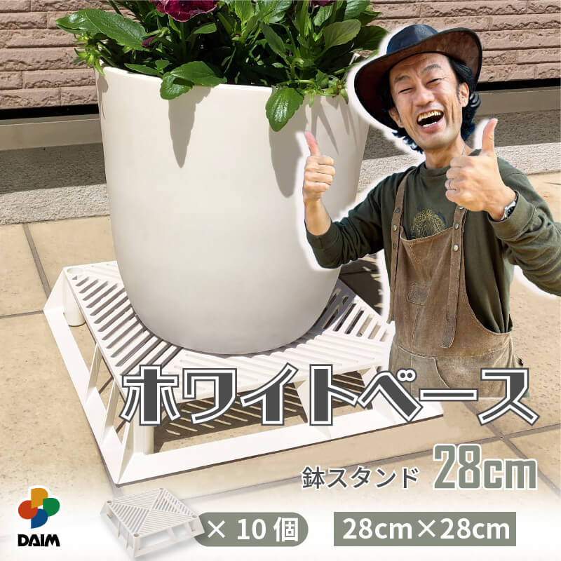 楽天市場】【クーポンで最大3,000円OFF】【1月 P2倍】【カーメン君