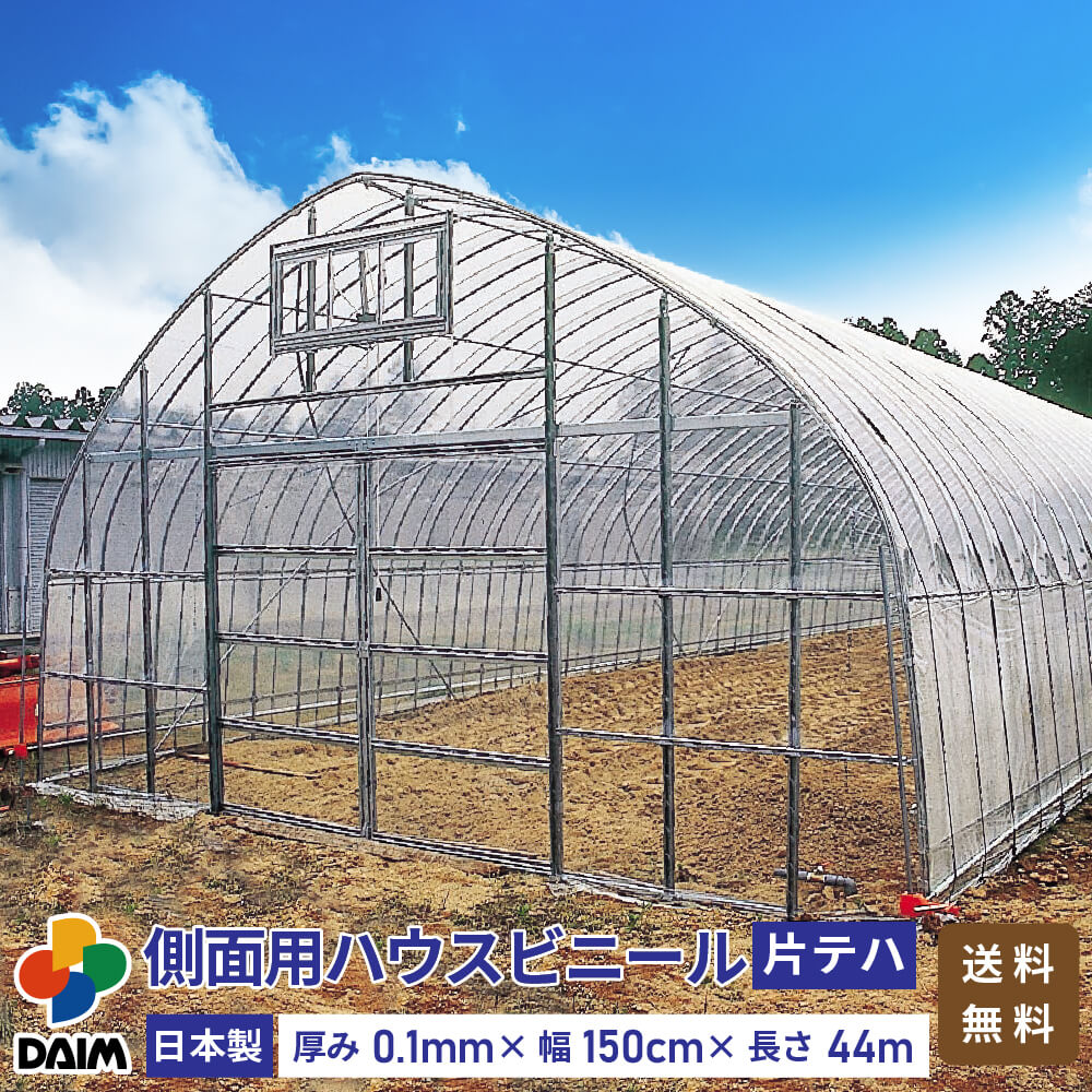 2025年DAIM新商いもの特集！