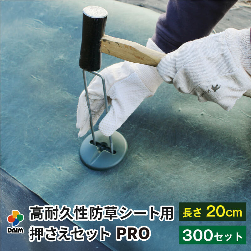 2025年DAIM新商いもの特集！