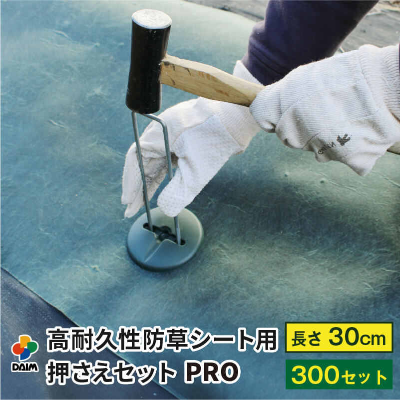 2025年DAIM新商いもの特集！
