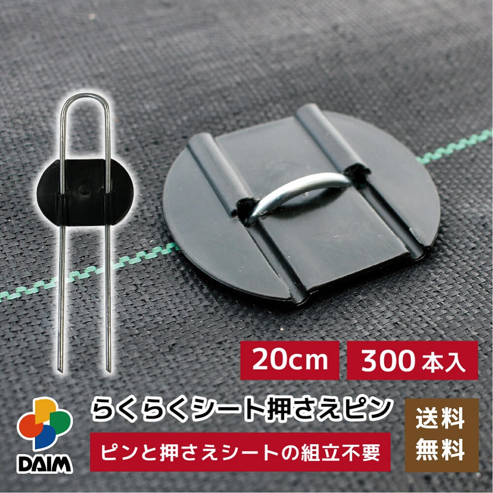 2025年DAIM新商いもの特集！