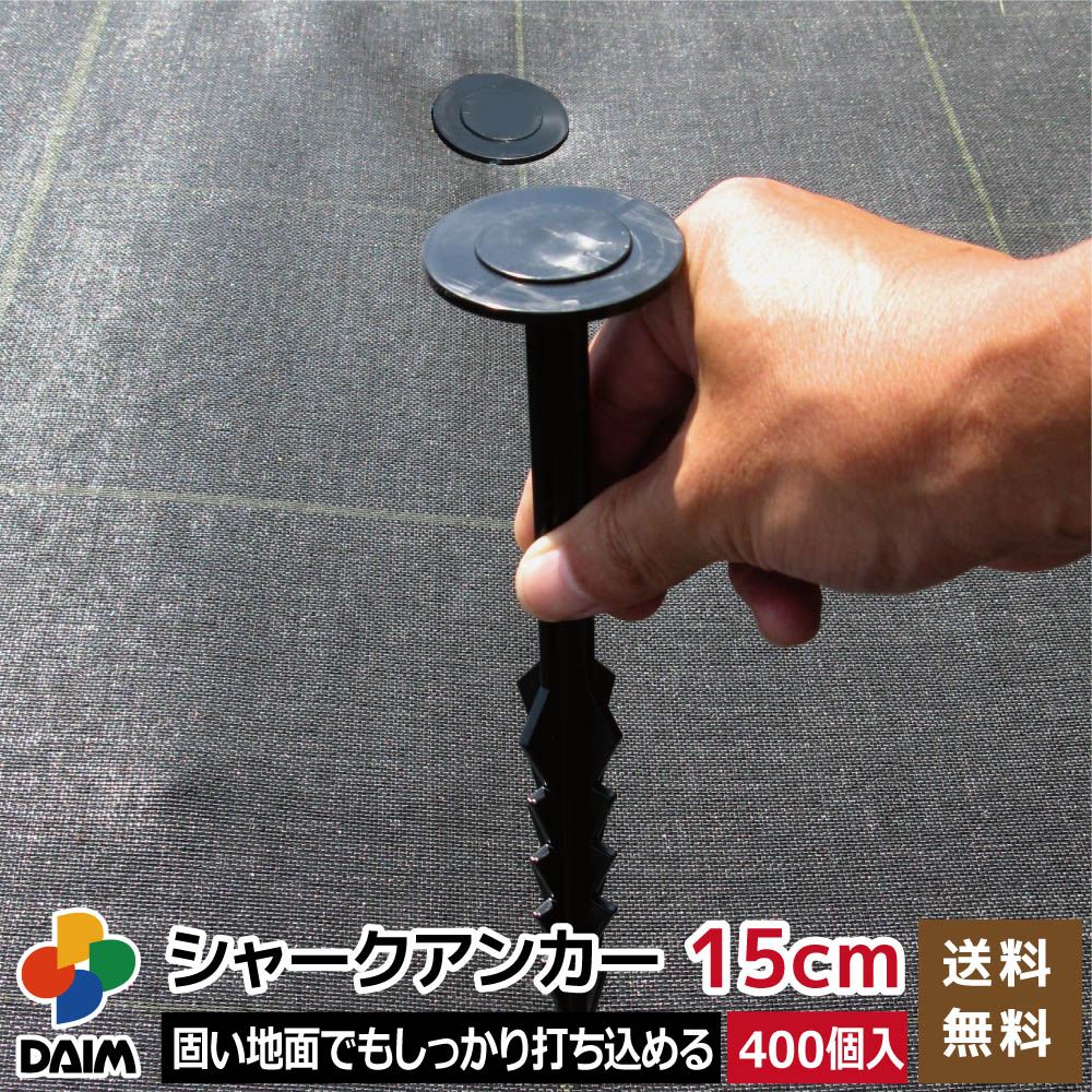 2025年DAIM新商いもの特集！