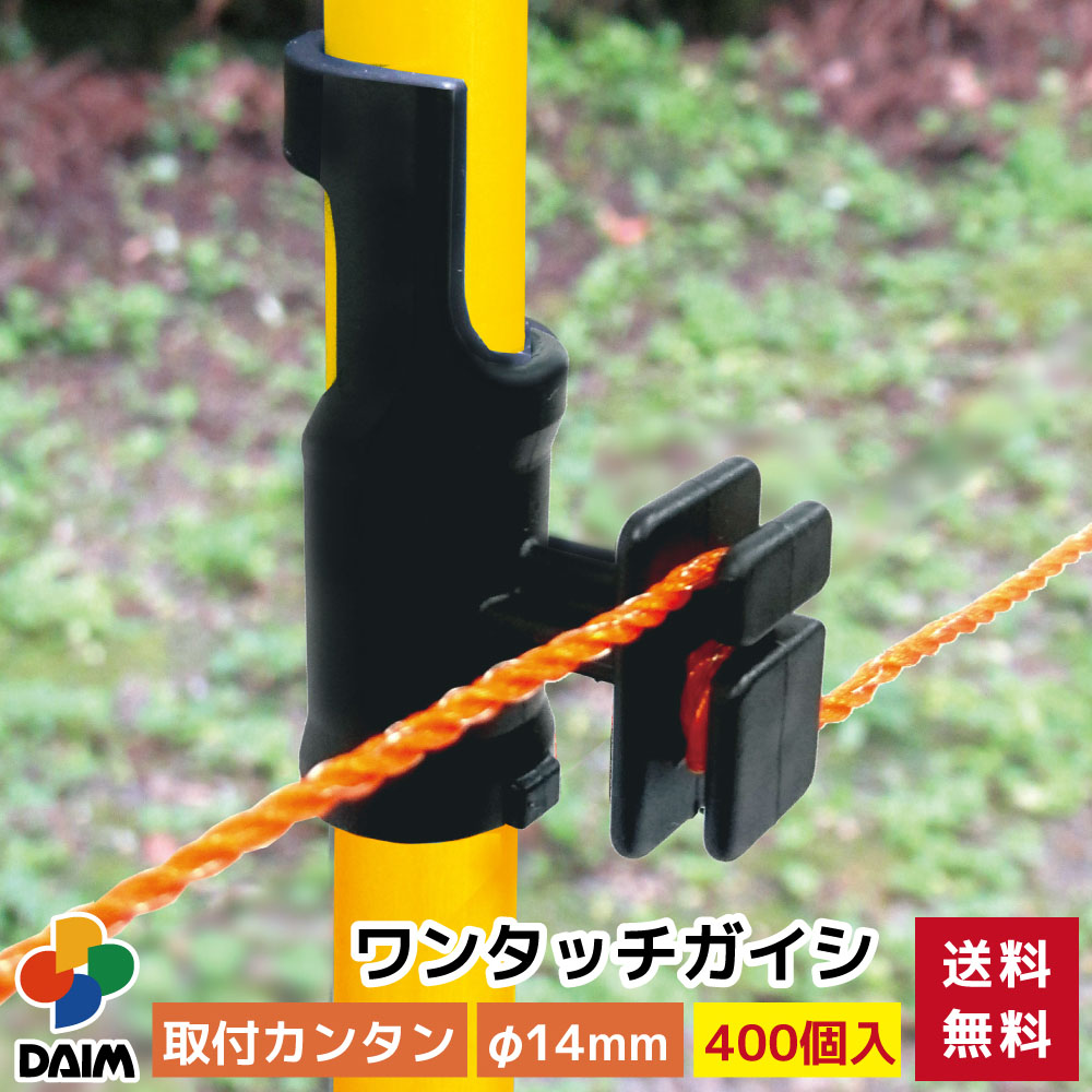 2025年DAIM新商いもの特集！