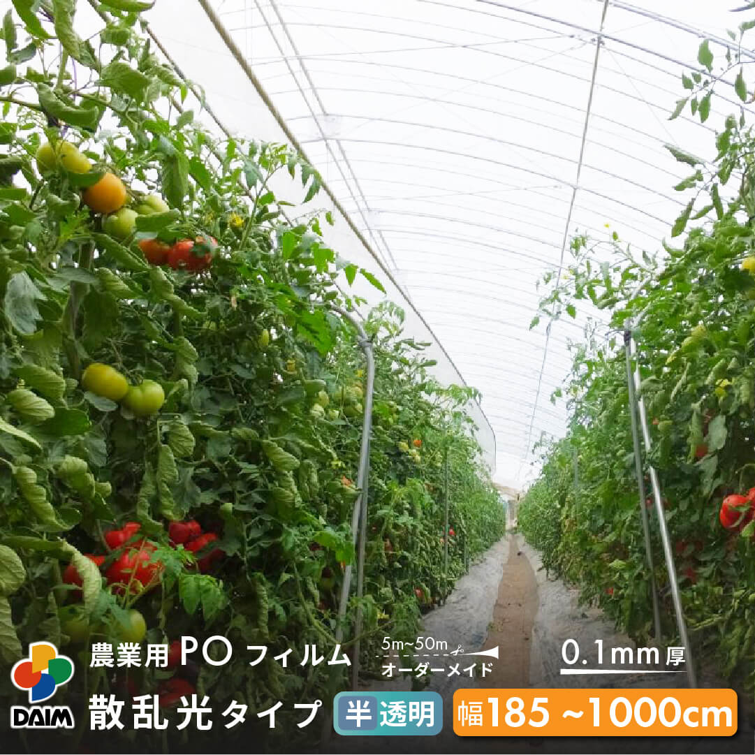 mamamaハウス天井POフィルム　クリンテート mamamaハウス天井POフィルム クリンテート mamamaハウス天井POフィルム