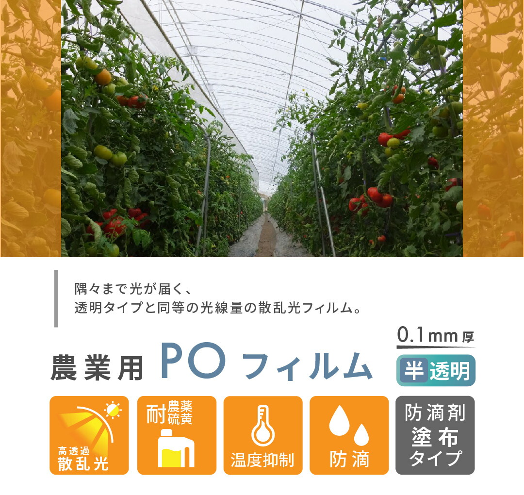 サイン・掲示用品 パネル 農PO 5種5層 厚み0.1mm 幅660cm 長さ10m単位カット 防滴 防霧 個人宅配送不可 関東・長野・新潟・山梨限定  すこ タ種