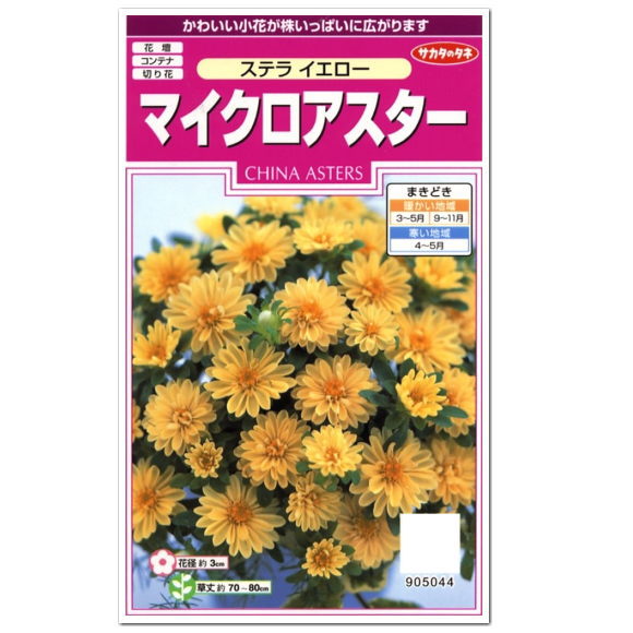 楽天市場 サカタのタネ ステライエロー マイクロアスター 種 一年草 花壇 プランター 切花 たね 仏花 盆花 ガーデニング ガーデニングと雑貨の菜園ライフ