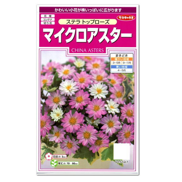 楽天市場 サカタのタネ ステラトップローズ マイクロアスター 種 一年草 花壇 プランター 切花 たね 仏花 盆花 ガーデニング ガーデニングと雑貨の菜園ライフ