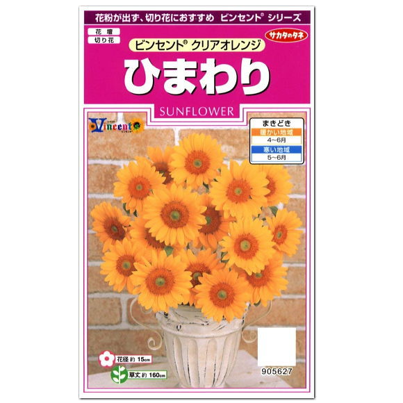 楽天市場 サカタのタネ ビンセントクリアオレンジ ひまわり 種 花壇 プランター 寄せ植え 草花 ひまわりのたね タネ 種子 ガーデニング ガーデニングと雑貨の菜園ライフ