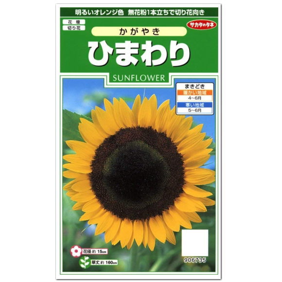 楽天市場 サカタのタネ かがやき ひまわり 種 花壇 プランター 寄せ植え 草花 ひまわりのたね タネ 種子 ガーデニング ガーデニングと雑貨の菜園ライフ