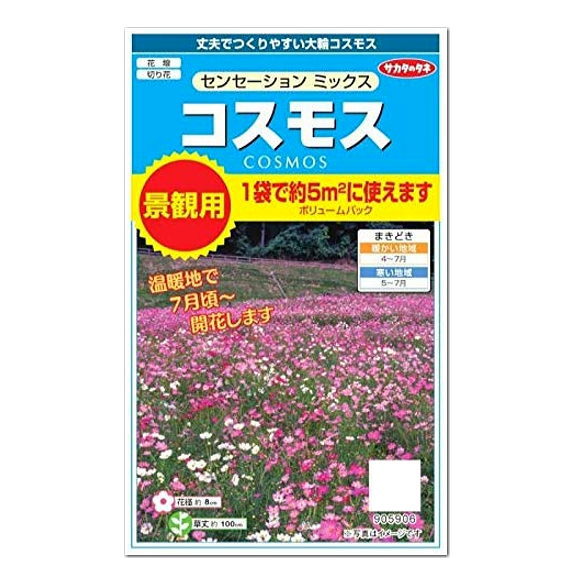 楽天市場 サカタのタネ コスモス センセーションミックス ボリュームパック 種 春まき一年草 草丈約100cm 景観用 大袋 花壇 切花 たね タネ 種子 園芸 ガーデニング ガーデニングと雑貨の菜園ライフ