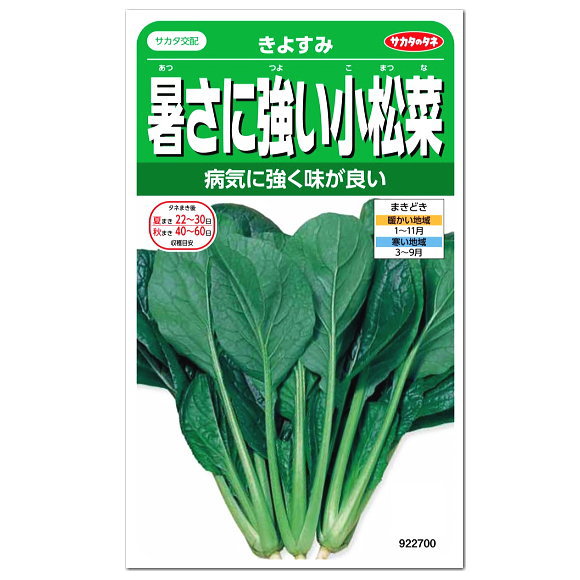 楽天市場 サカタのタネ 暑さに強い小松菜 きよすみ 種 家庭菜園 周年栽培 プランター栽培 ツケナ 漬け菜 コマツナのタネ 種子 こまつな たね 緑黄色野菜 ガーデニングと雑貨の菜園ライフ