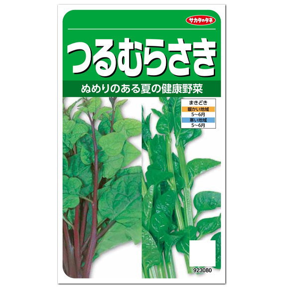 楽天市場 サカタのタネ つるむらさき 種 紫種と緑種の混合 つる紫 蔓紫 タネ ツルムラサキ たね 種子 ガーデニングと雑貨の菜園ライフ