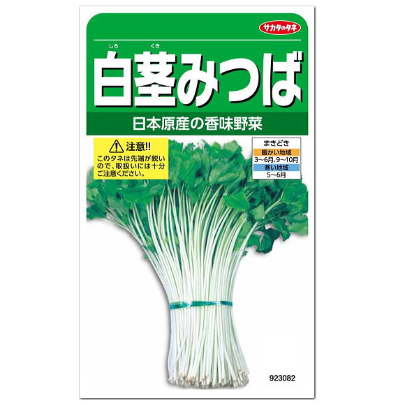 楽天市場 サカタのタネ 白茎みつば 種 プランター栽培 青みつば白 ミツバ タネ たね 種子 簡単 白茎三つ葉 ガーデニングと雑貨の菜園ライフ