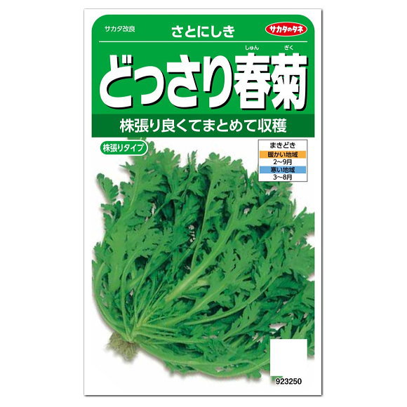 楽天市場 サカタのタネ どっさり春菊 さとにしき 種 家庭菜園 プランター栽培 キクナ しゅんぎく 緑黄色野菜 シュンギクの種子 たね ガーデニングと雑貨の菜園ライフ