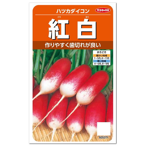 楽天市場 サカタのタネ はつか大根 紅白 種 プランター栽培もおすすめ 家庭菜園 ダイコンのタネ 野菜 たね 種子 二十日大根 ガーデニングと雑貨の菜園ライフ