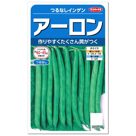 楽天市場 サカタのタネ つるなしインゲン アーロン 種 家庭菜園 隠元 いんげんまめのタネ たね 種子 豆類 緑黄色野菜 夏野菜 ガーデニングと雑貨の菜園ライフ