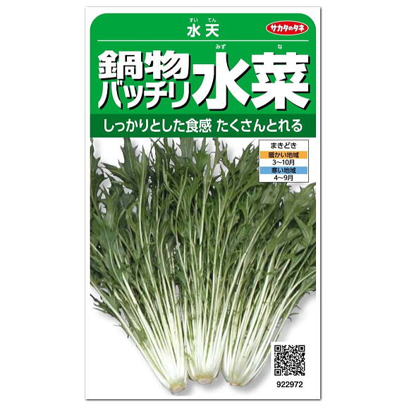 楽天市場 サカタのタネ 鍋物バッチリ水菜 水天 種 家庭菜園 プランター栽培 京菜 ツケナ 漬け菜 みずな ミズナのタネ 種子 たね ガーデニングと雑貨の菜園ライフ