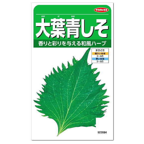 楽天市場 サカタのタネ 大葉青しそ 種 家庭菜園 紫蘇 シソのタネ たね 種子 青じそ 緑黄色野菜 ガーデニングと雑貨の菜園ライフ