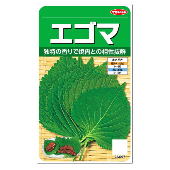 楽天市場 サカタのタネ エゴマ 種 一年草 家庭菜園 えごまのタネ ジュウネン たね しそ Perilla ペリラ 韓国料理 ガーデニングと雑貨の菜園 ライフ