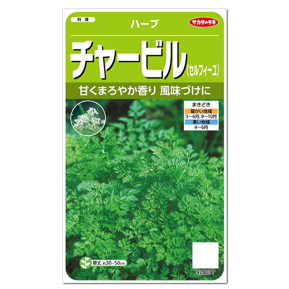 楽天市場 サカタのタネ ハーブ チャービル 種 一年草 家庭菜園 料理用 チャービルのタネ たね 種子 Herb セルフィーユ フィーヌゼルブ Leaf Chervil ガーデニングと雑貨の菜園ライフ