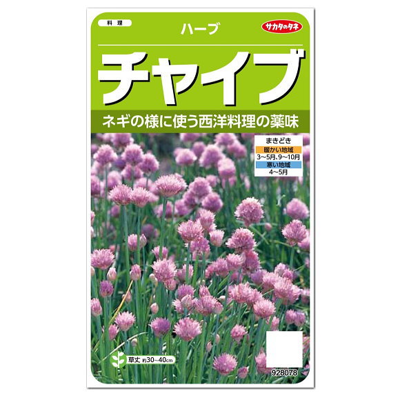 楽天市場 サカタのタネ ハーブ チャイブ 種 多年草 家庭菜園 料理用 ハーブ チャイブのタネ たね 種子 Herb セイヨウアサツキ チャイブス エゾネギ Chives ガーデニングと雑貨の菜園ライフ